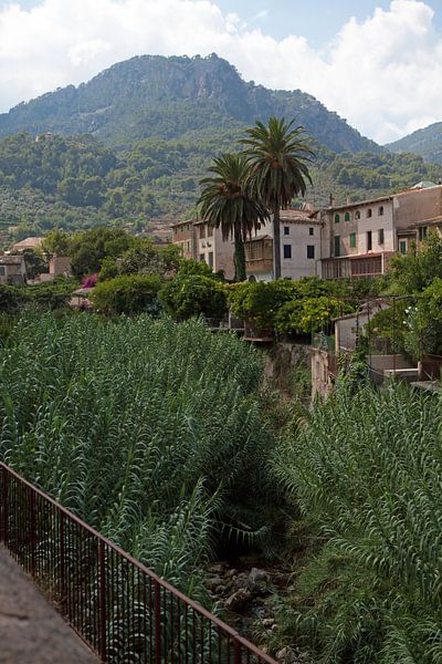 Serra de Tramuntana van t.ART