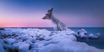 Winterzeit Schnee und Eis  an der Ostsee zum Sonnenuntergang von Voss Fine Art Fotografie