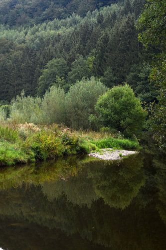 Alle tinten groen