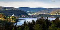 Blick zum Titisee