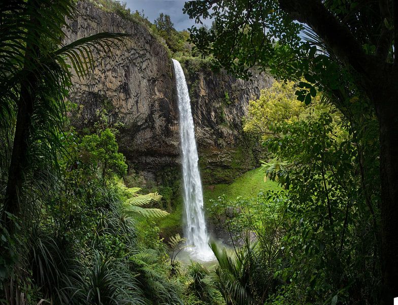 Wasserfall im neuseeländischen Dschungel. Brautschleier von Albert Brunsting