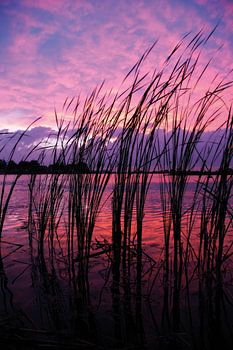 Magical Sunset on the river IJssel near Kampen