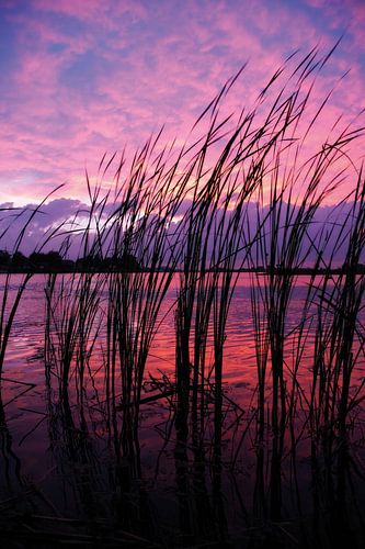 Coucher de soleil magique sur l'IJssel près de Kampen