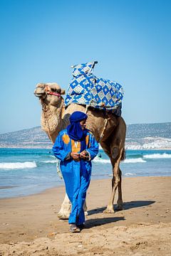 Wandelen met een kameel op het strand