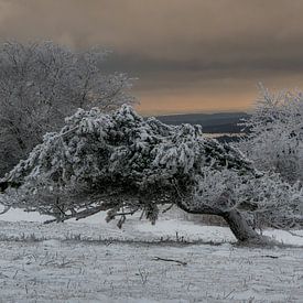 Une affaire louche sur Andre Michaelis
