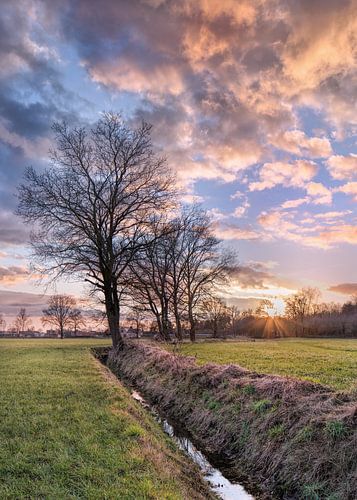 Agrarian landscape with a ditch and trees during a sunset 