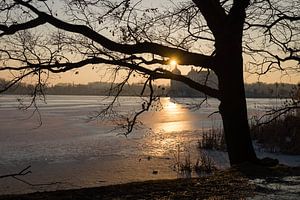 Winterlicher Sonnenuntergang bei Schloss Moritzburg 3