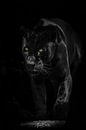 Zwarte Jaguar van Design Wall Arts thumbnail