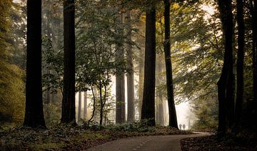On a beautiful morning in October........In the Netherlands by Jos Erkamp