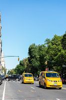 Taxis à Central Park, New York