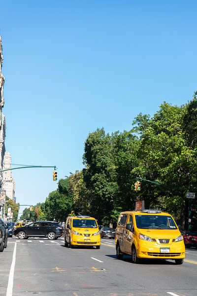 Taxis im Central Park, New York von Puck Bertens