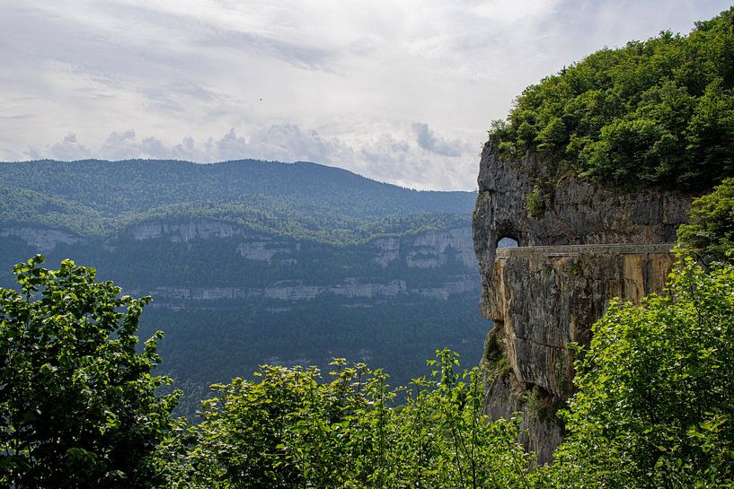 Vercors von ton vogels