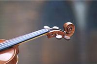 violin 1 / detail of neck lying down