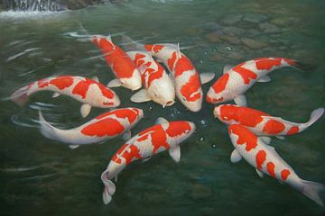 Koi Fish by Art Indi