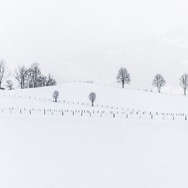 Abstract winterlandschap van Henk Verheyen
