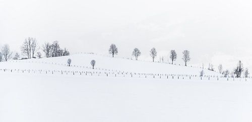 Abstract winterlandschap