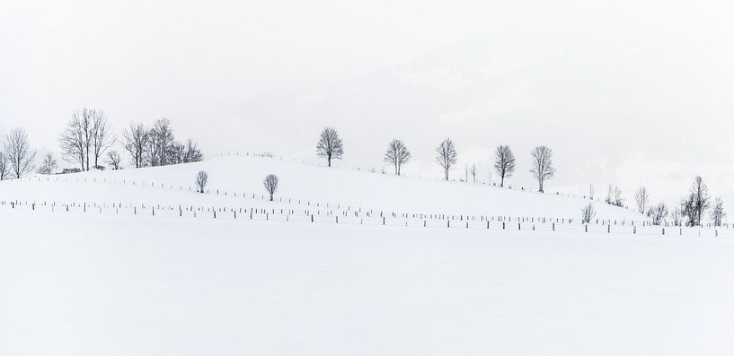 Abstract winterlandschap par Henk Verheyen