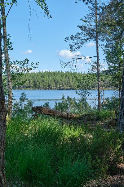 Sweden serene 17 by Geertjan Plooijer