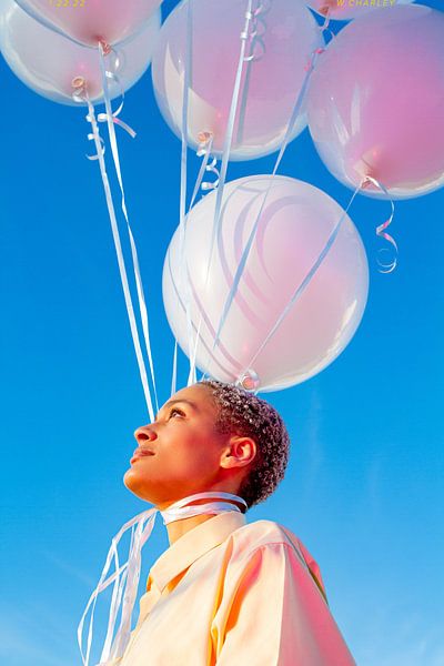 Head in the Clouds. by William Charley