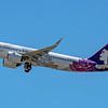 Passagierflugzeug vom Typ Airbus A321neo der Hawaiian Airlines. von Jaap van den Berg