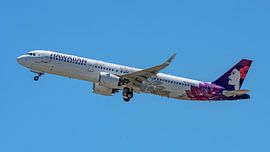Passagierflugzeug vom Typ Airbus A321neo der Hawaiian Airlines. von Jaap van den Berg