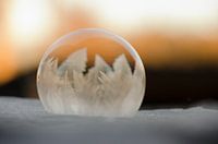 Winter - Frozen bubble I