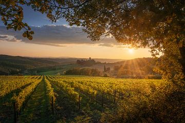 Coucher de soleil sur le Chianti, l'abbaye de Badia a Passignano et le vignoble doré sur Stefano Orazzini