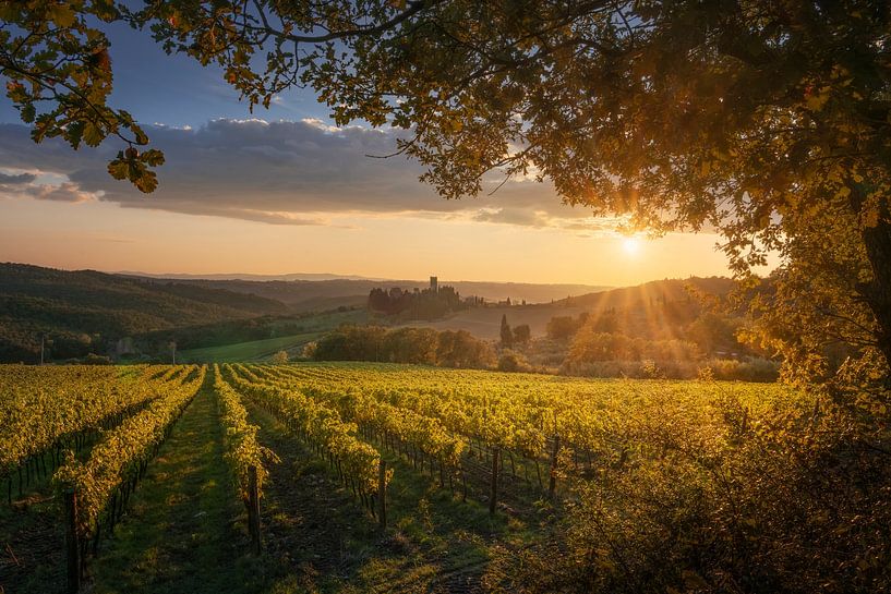 Zonsondergang Chianti, Abdij Badia a Passignano en Gouden Wijngaard van Stefano Orazzini