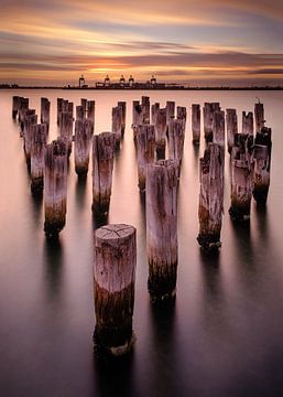 Princes Pier Pylons at Sunset by Keith Wilson Photography