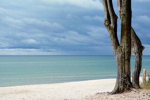 Ostsee von Claudia Moeckel