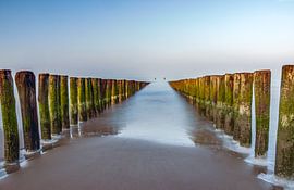 Poles beach zeeland by natascha verbij