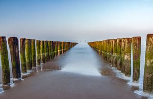 Palen strand zeeland