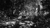 La clôture du cimetière