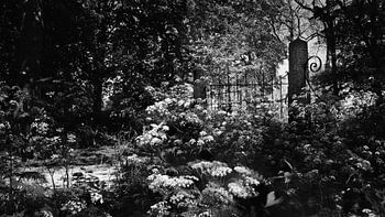 Der Zaun zum Friedhof