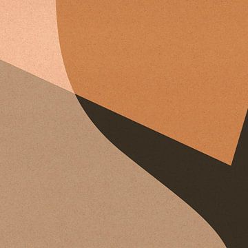 Abstracte organische en geometrische vormen nr. 1 van Dina Dankers