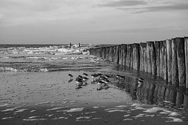 reflection of the storm breakers in black and white by anne droogsma