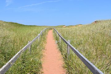 The beach path in summer by Claude Laprise