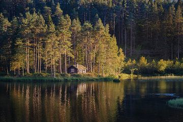 Eenzame hut aan een meer, Noorwegen van qtx
