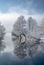 Mystischer Wintermorgen in Bayern von Achim Thomae Miniaturansicht