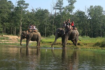 Elephant Ride Adventure by aidan moran