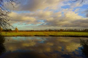 Biesbosch by Michel van Kooten