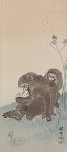 Ohara Koson - Zwei Affen mit Schmetterling (bearbeitet)