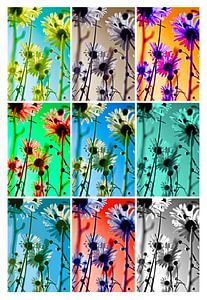 Collage: bunte Blumen