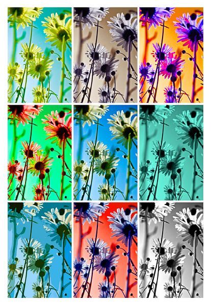 Collage: bunte Blumen von Norbert Sülzner
