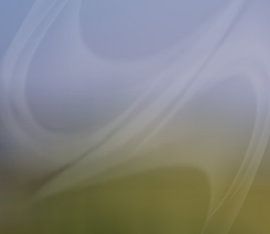 Landscape with fog by Kay Weber