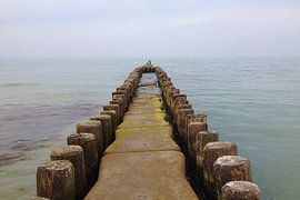 Ein Weg zwischen den Welten von Theodor Decker