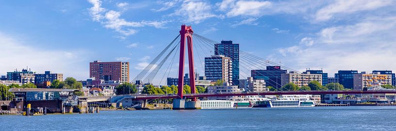 ROTTERDAM Willemsbrug im Panorama von Melanie Viola