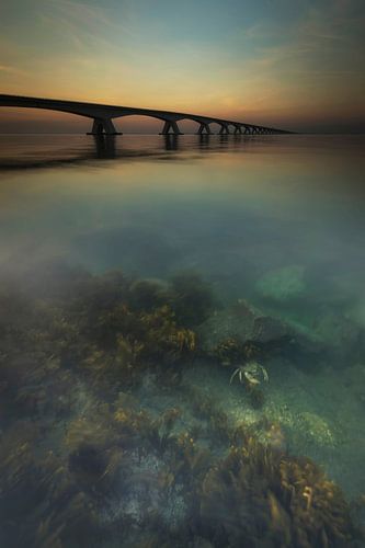 De zeelandbrug