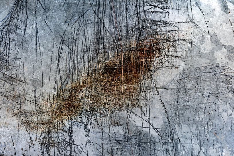 Cane scratches 6 by Joost Bolten