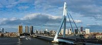 De Erasmusbrug (panorama) van Michael Echteld thumbnail